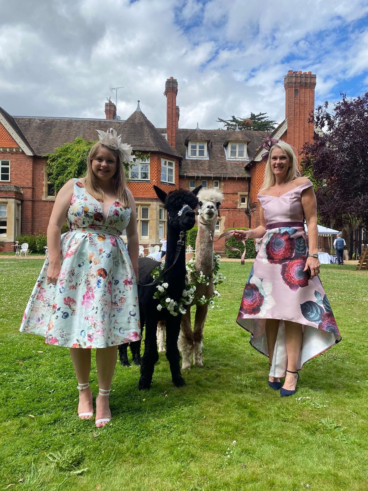 Oriontree Alpacas & Poultry has joined UKbride