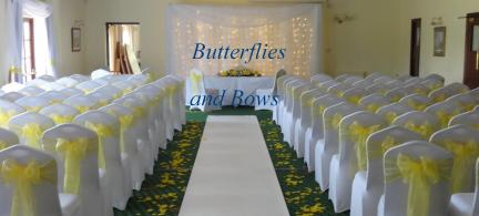 Butterflies And Bows-Image-442