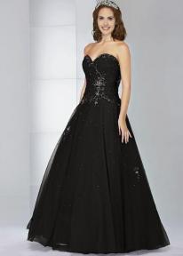 A member uploaded image