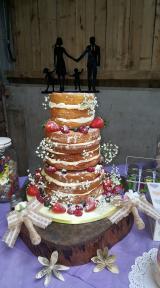 A member uploaded image