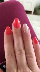 A member uploaded image