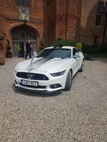 A member uploaded image