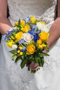 A member uploaded image