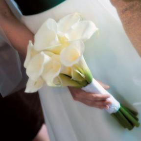 A member uploaded image