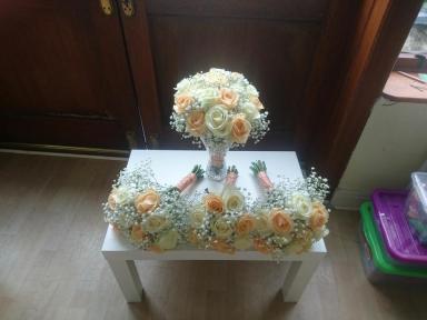 A member uploaded image