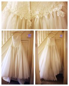 A member uploaded image