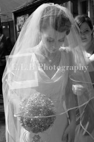 A member uploaded image