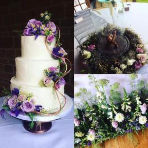 A member uploaded image