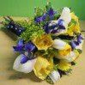 A member uploaded image