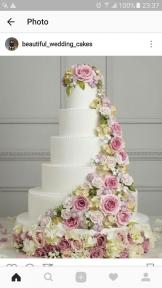 A member uploaded image