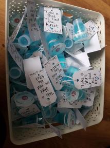 A member uploaded image