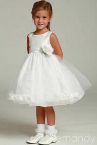 A member uploaded image