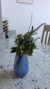 A member uploaded image